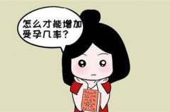 什么时候最容易受孕 这4个最佳机会你把握了吗