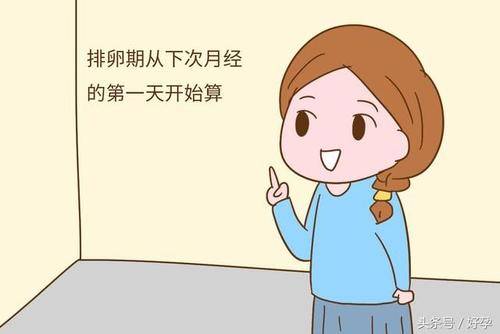 什么时候最容易受孕?这4个最佳机会你把握了吗?