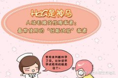 HCG是什么意思 血HCG正常值对照表