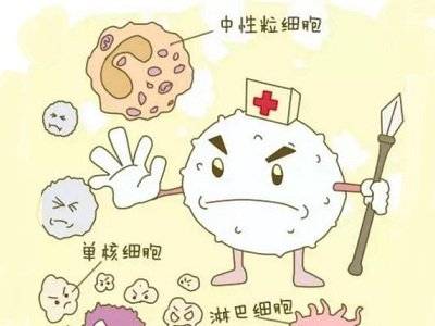 白细胞减少的原因及白细胞减少怎么治疗