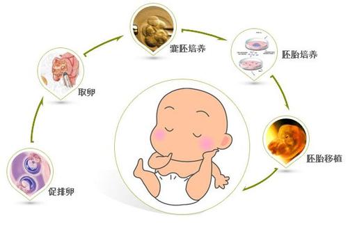 试管婴儿移植后有这些感觉是不是胚胎着床怀孕啦！