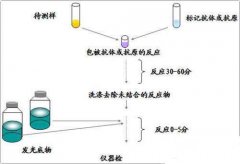 酶免法是什么意思 酶免法检测艾滋准确率如何