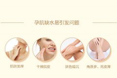 袋鼠妈妈哪个系列的好