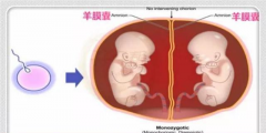 单绒双羊和单绒单羊是什么意思