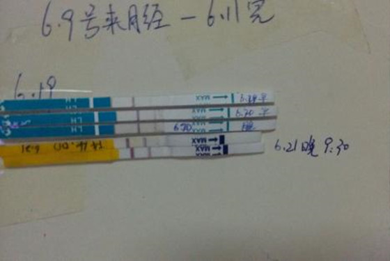 排卵试纸强阳其实卵已经排了 我被弄得一脸怂B 
