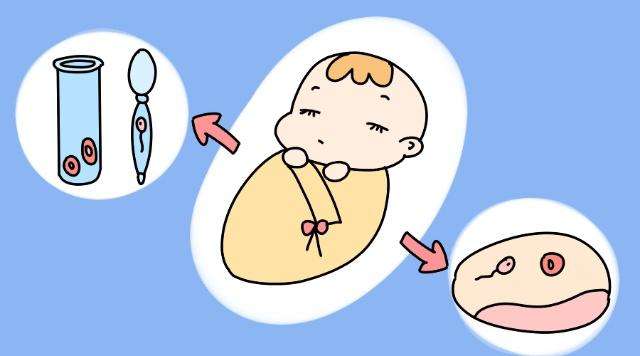 领养孩子后，还是想做试管来拥有自己的孩子