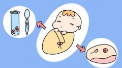 领养孩子后，还是想做试管来拥有自己的孩子