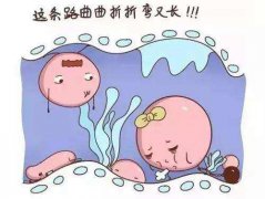 国内试管费用与海外三代试管婴儿价格比对