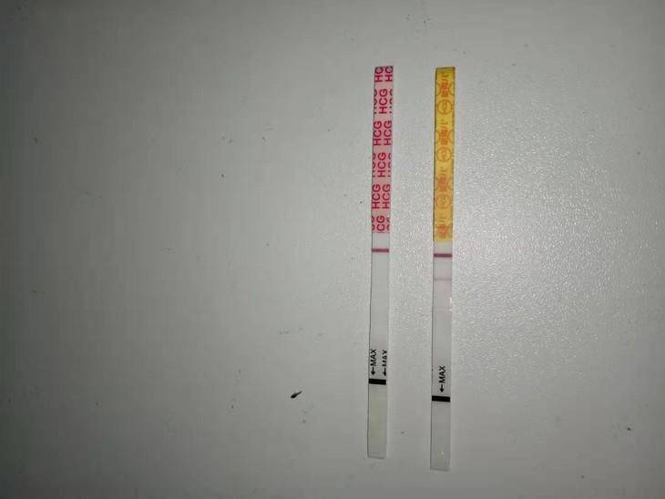试管婴儿图片