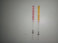 备孕的准备;备孕时助孕食谱有什么