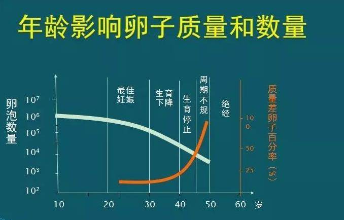 年龄对卵子的质量和数量的影响