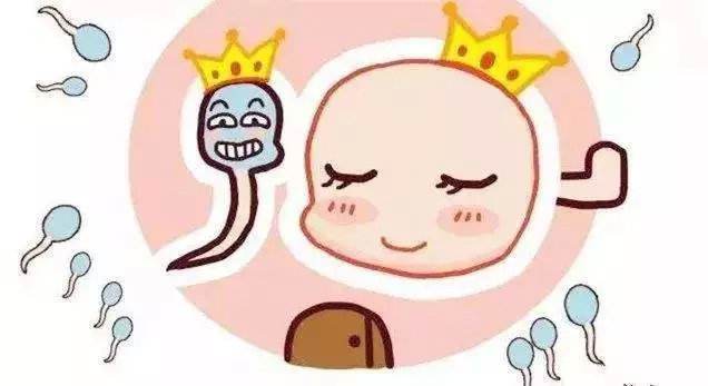 大龄备孕如何提高卵子质量呢?