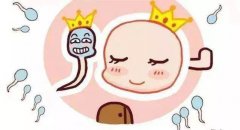 大龄备孕如何提高卵子质量呢