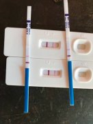 女生怀孕半个月的症状