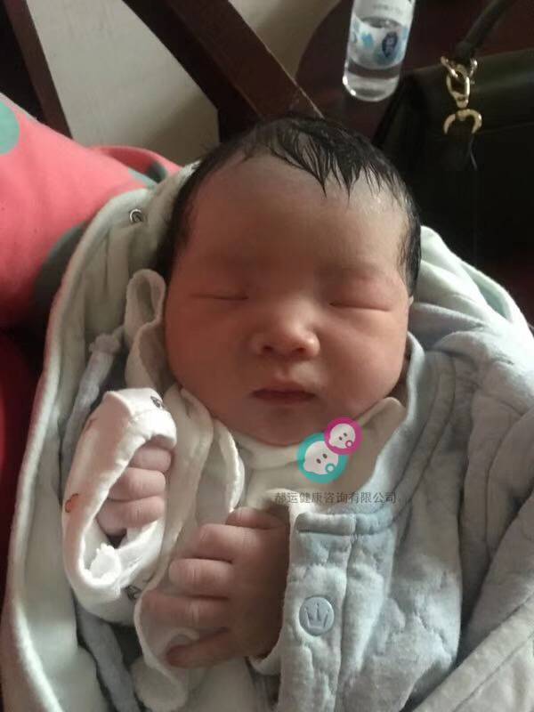 试管婴儿图片