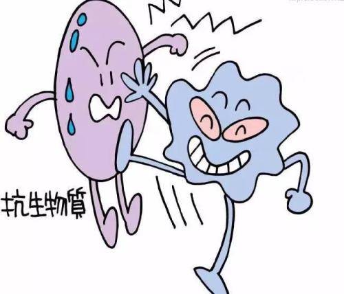 巨细胞病毒抗体阳性什么意思  影响怀孕吗?