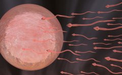 重大消息!精子过多同样会导致男性不育了!