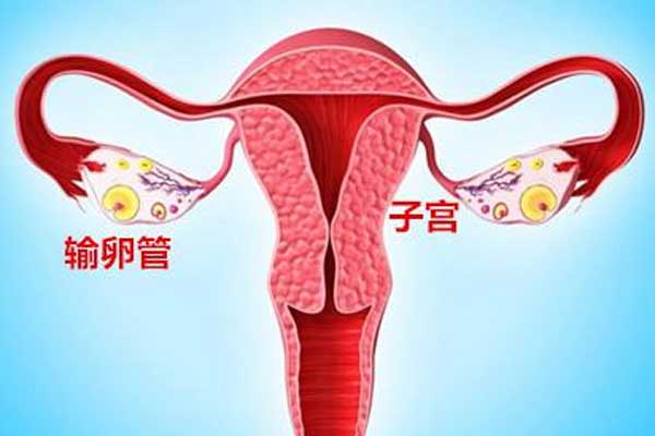 宫腔积液如何影响辅助生殖技术中助孕过程？