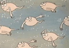【孕达海外试管】试管开始前为什么男性要进行这么多检查？