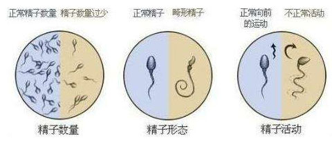 不是每个人都可以做试管看看哪些人可以做乌克兰试管婴儿