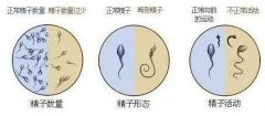 不是每个人都可以做试管看看哪些人可以做乌克兰试管婴儿