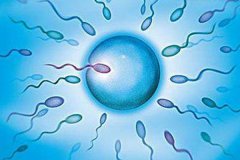 安阳姐妹分享哪些方法能提高乌克兰试管助孕的成功几率?