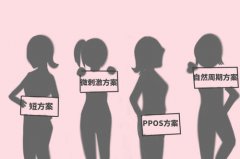 乌克兰试管婴儿促排方案分哪几种？