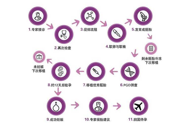 试管婴儿步骤过程图