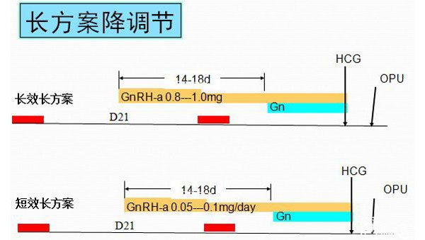 长方案促排时间
