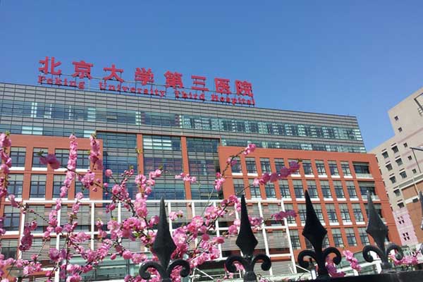 北医三院养囊概率