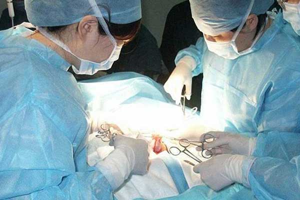les在俄罗斯做人工授精多少钱?3个因素决定你的费用