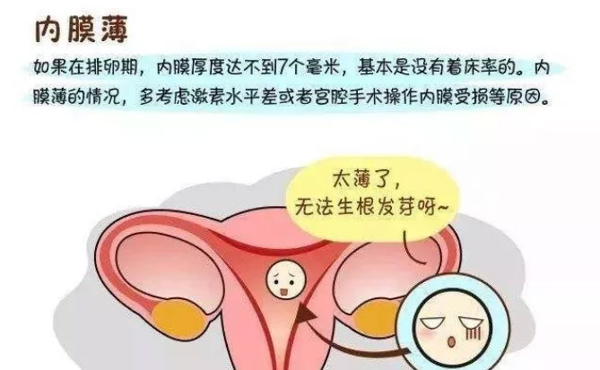 女性子宫内膜薄，俄罗斯试管婴儿成功率高吗