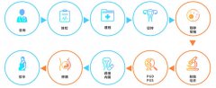 俄罗斯试管婴儿流程