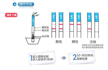 什么是促黄体生成素(lh)_偏高偏低原因_怎么降解决办法