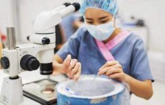 南京试管代助妈妈成功率怎么样？佣金能有多少？
