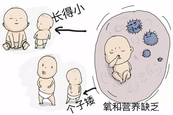 只要激素正常吃了12年妈富隆也能生育
