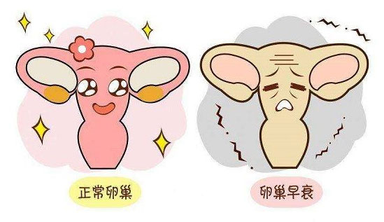 吃妈富隆治疗卵巢早衰是没有科学依据的