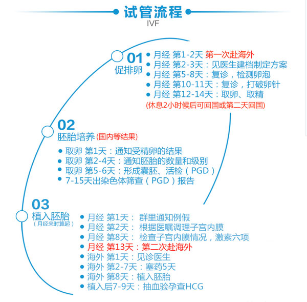 试管婴儿流程