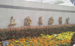 长海医院试管婴儿成功率有多高？
