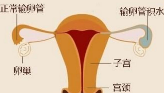 未标题-1.jpg