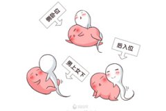 人工受孕和试管婴儿的区别