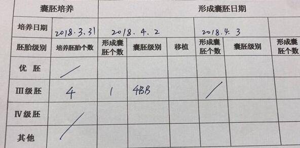 试管移植囊胚4bb成功经验