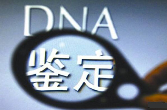 五步搞定如何做dna鉴定 绝对比你想象的简单 