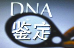 五步搞定如何做dna鉴定 绝对比你想象的简单