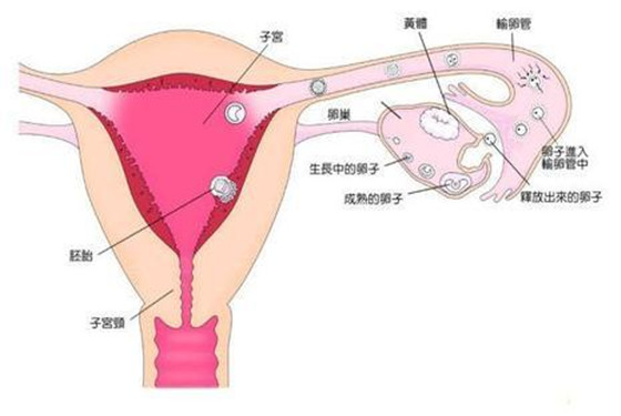经期同房的后果很严重 5大“危害”无一幸免！ 