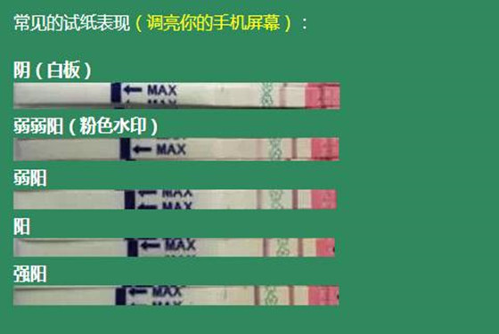 大卫排卵试纸8档图解图 轻松“找到”排卵期 