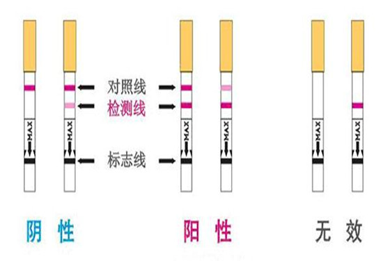 早早孕试纸的准确率据说从50%