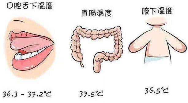 婴儿正常体温范围