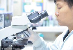 C14检查多久可以备孕