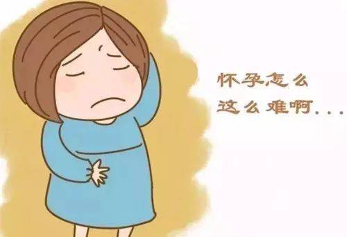 备孕为什么要检查甲状腺?